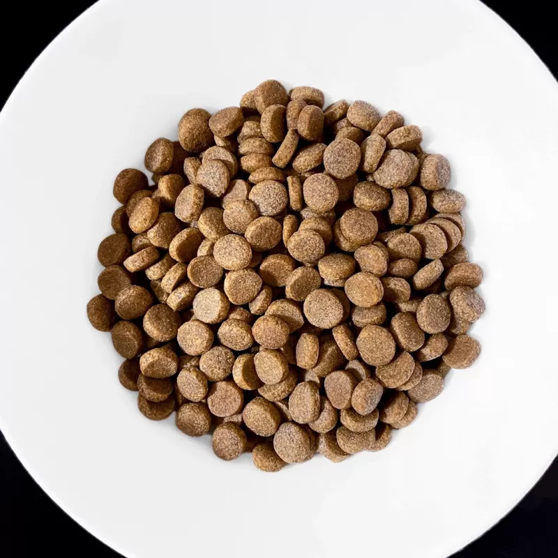 VET RESPONSE Gewicht balance - Trockenfutter für Hunde - 1,6 kg
