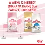 Trockenfutter für Katzen Royal Canin Kitten 4 kg Geflügel — Junior-Trockenfutter, 36 % Protein, 18 % Fett