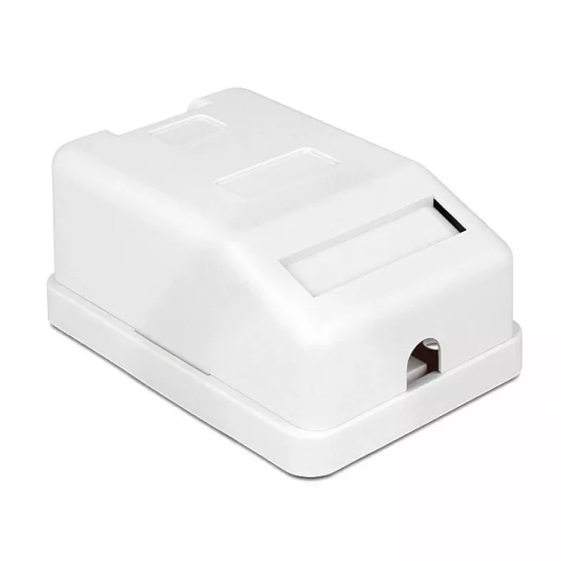 Delock 86235 Keystone-Aufputzgehäuse, 1 Port, mit Staubschutz, weiß