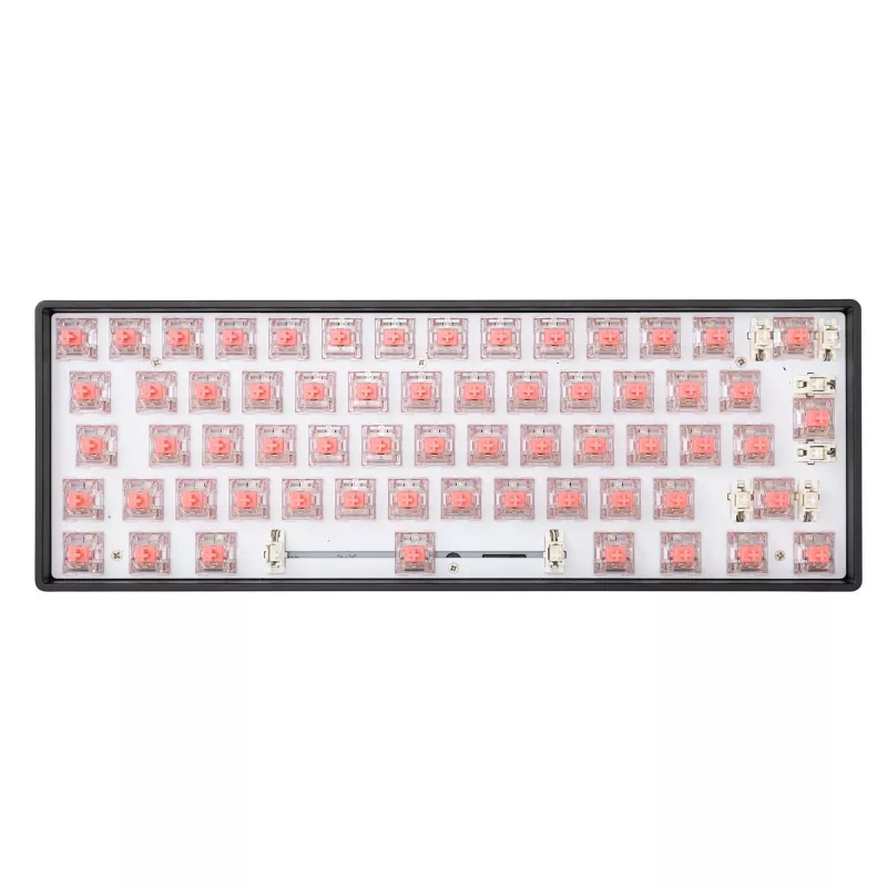White Shark Venom Rose mechanische Tastaturschalter, 25 Stück