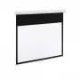 Elektrische Leinwand 100 16:9 120 265x150 mattweiß mit Fernbedienung