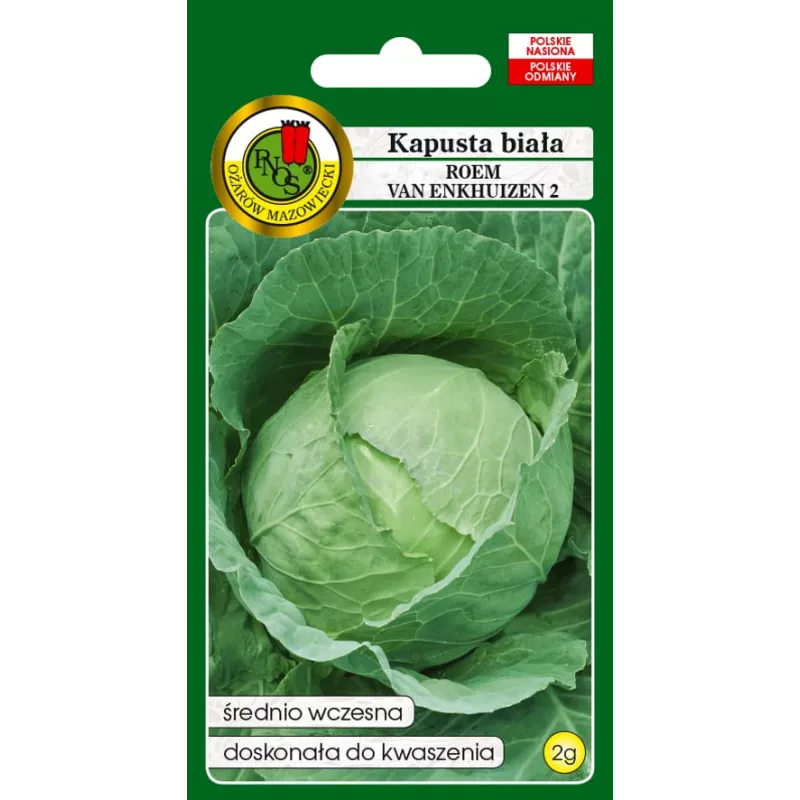 PNOS Weißkohl Roem Van Enkhuizen 2 Gemüsesamen, 2 g