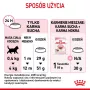 Royal Canin Kitten Trockenfutter für Katzen 2 kg