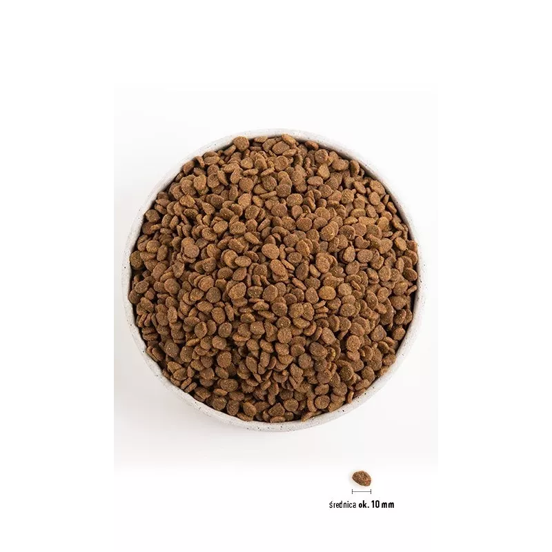 Orijen Kitten Trockenfutter für Kätzchen, 1,8 kg