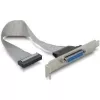 DeLOCK 84300 Parallel-Slotblech, DB25 auf IDC 26-polig, 22 cm