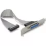 DeLOCK 84300 Parallel-Slotblech, DB25 auf IDC 26-polig, 22 cm