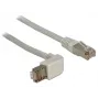 Netzwerkkabel DeLOCK 1m Cat.5e RJ-45 S/FTP Grau