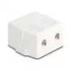Delock 85843 Keystone Leergehäuse, 2-Port, mit Magnetfuß, weiß