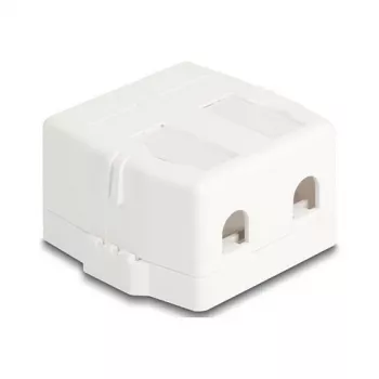 Delock 85843 Keystone Leergehäuse, 2-Port, mit Magnetfuß, weiß