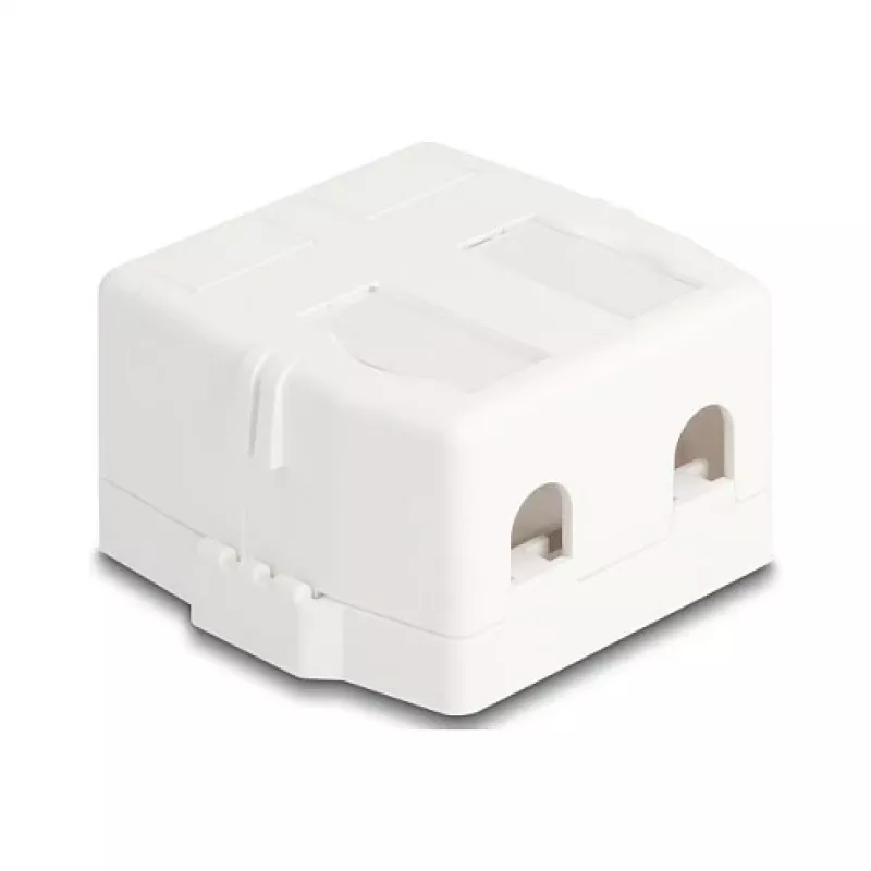 Delock 85843 Keystone Leergehäuse, 2-Port, mit Magnetfuß, weiß