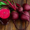 PNOS Opole Rote-Bete-Saatgut, umhüllt, 100er-Packung