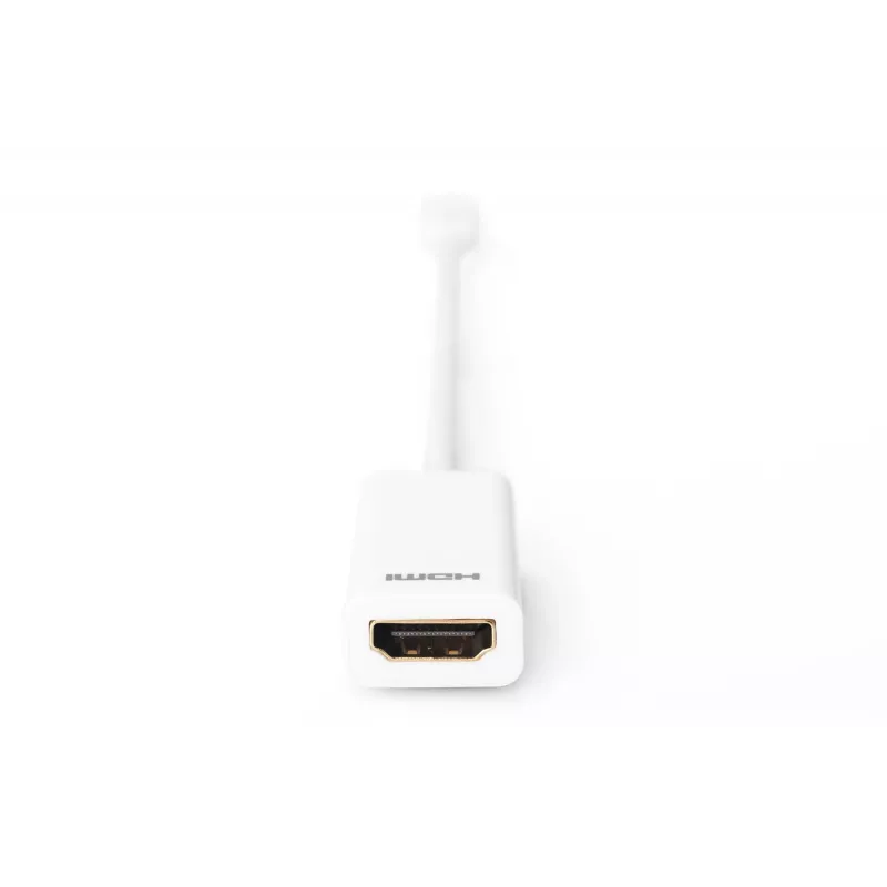 DisplayPort-Adapter Digitus AK-340404-001-W