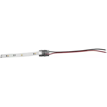 Eurolite 50530062 LED-Strip-Einspeiser, 2-polig, 8 mm