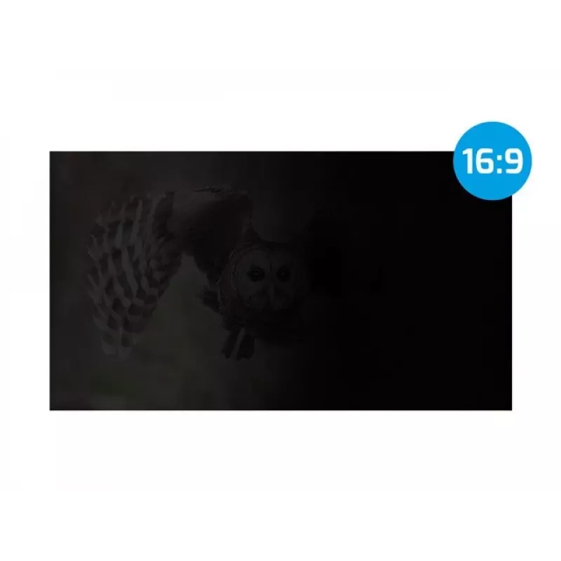 NATEC Owl NFP-2118 Blickschutzfilter für 27-Zoll-Monitore (68,6 cm) 16:9, 598×337 mm, entspiegelt, schwarz