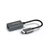 Esperanza ENA102 USB-C auf RJ45 Gigabit-Ethernet-Adapter
