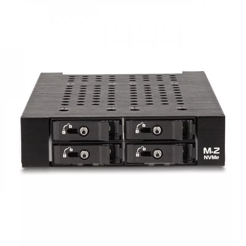 HDD-Käfig DeLOCK 47072 Rack Kompatibel Metall 100 mm Breite