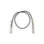 Cisco QSFP-100G-CU1M= InfiniBand/Glasfaserkabel 1 m