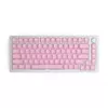 Glorious PC Gaming Race GMMK ABS Doubleshot V2 UK Basis-Set - pink (GLO-KC-ABS-UKKIT-P)