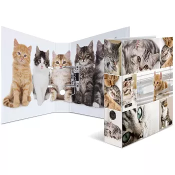 Ringbuch HERMA 7166 Mehrfarbig