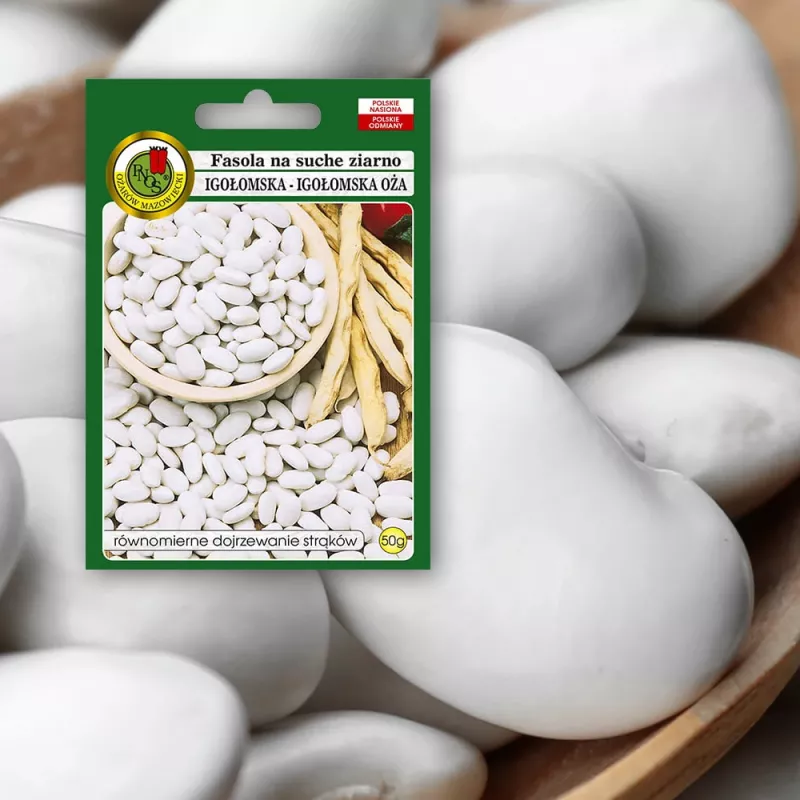 PNOS Trockenbohne Iglomska Samen, 50 g