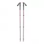 Trekkingstöcke Black Diamond Trail Trekking Poles Iron Red