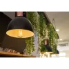 Smarte Glühbirne Shelly Vintage ST64 Wi-Fi Transparent 230 V