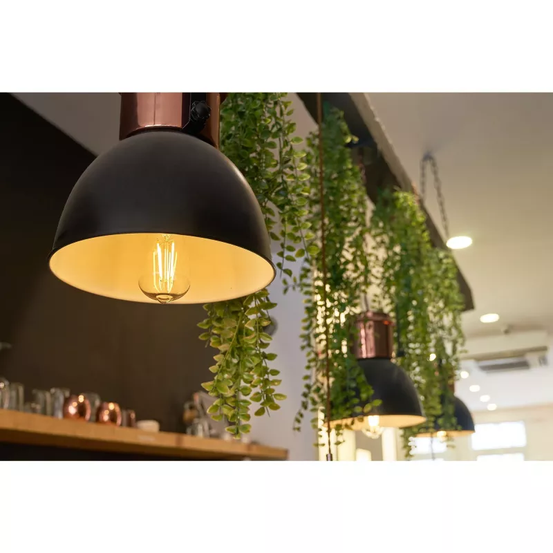 Smarte Glühbirne Shelly Vintage ST64 Wi-Fi Transparent 230 V