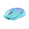 Drahtlose Maus Tellur Silent Click TLL491331 USB