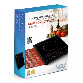 Esperanza EKH011 Kochfeld Schwarz Flache Oberfläche Induktionskochfeld 1 Kochzone(n)