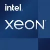 Intel Xeon E-2386G Prozessor 3,5 GHz 12 MB Smart Cache Tray