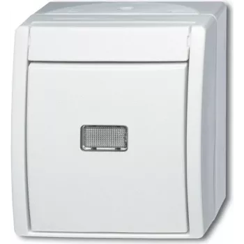 BUSCH JAEGER 1484-0-0381 - Taster - Weiß - IP44 - CE - 74 mm - 55 mm