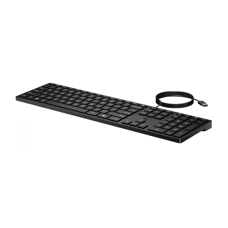 HP 320K USB Kabelgebundene Tastatur - Schwarz - US/RUS