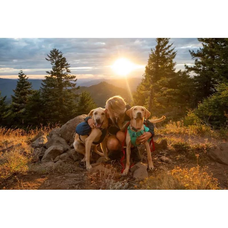 Ruffwear Front Range XS Blau Polyester