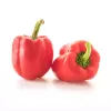 PNOS Paprika-Saatgutmischung, 0,6 g