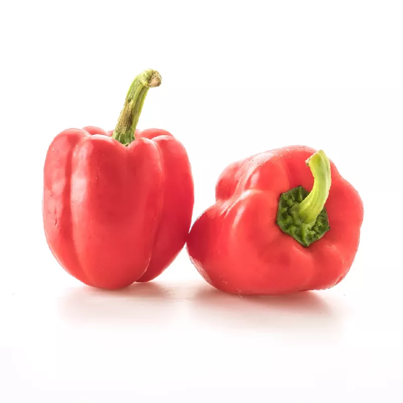PNOS Paprika-Saatgutmischung, 0,6 g