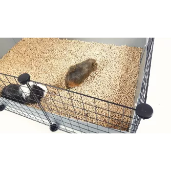 C&C Modularkäfig 5x2 silber 180x75x37 cm für Meerschweinchen Kaninchen Igel, c&c