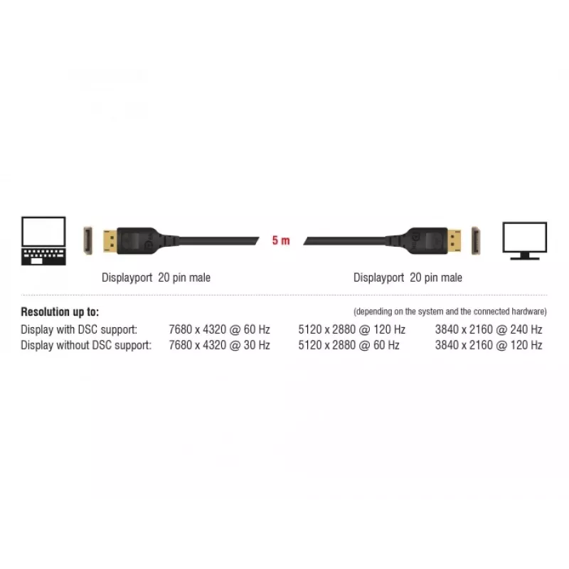 DisplayPort-Kabel DeLOCK 85658 1 m Schwarz