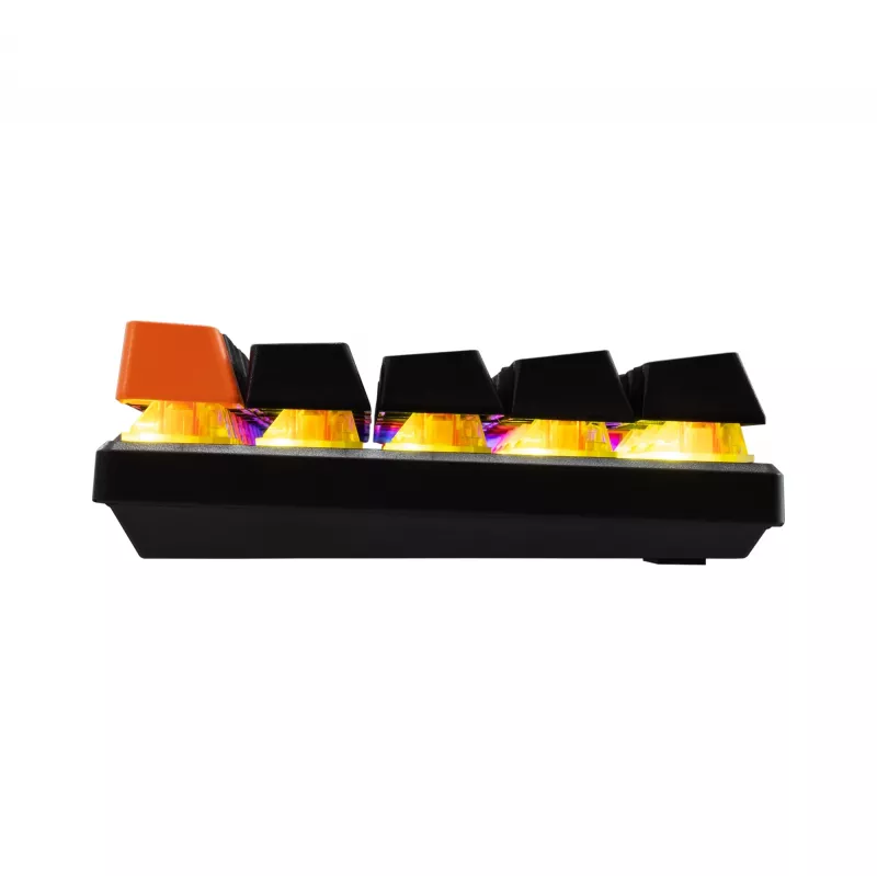 Mechanische Tastatur Baracuda Dolphin Schwarz US-Layout mit Red Switches