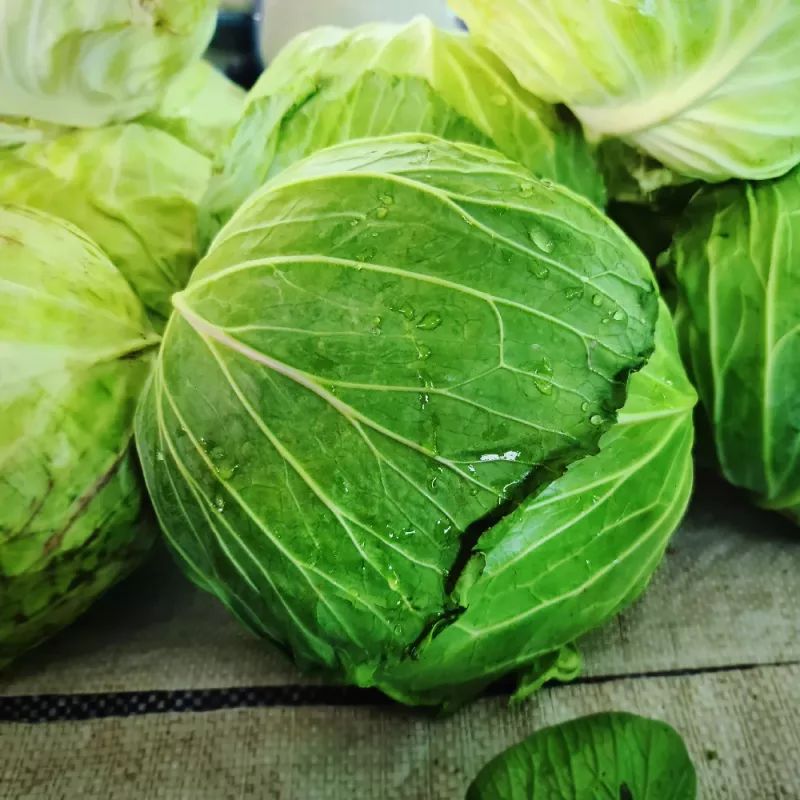 PNOS Weißkohl Roem Van Enkhuizen 2 Gemüsesamen, 2 g