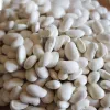PNOS Trockenbohne Iglomska Samen, 50 g