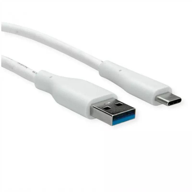 ROTRONIC-SECOMP VALUE - USB-Kabel - USB Typ A (M) auf USB-C (M)