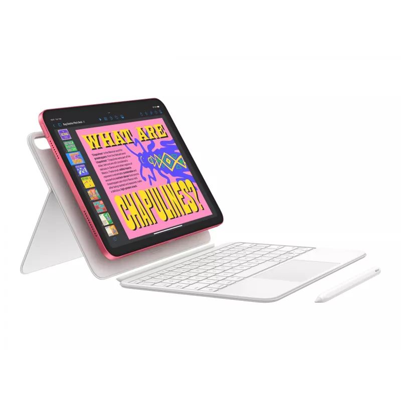 Apple iPad 256 GB 27,9 cm (11) Wi-Fi 6 (802.11ax) iPadOS 18 Pink