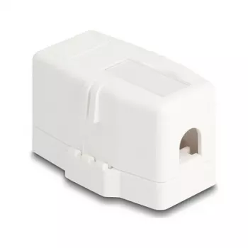 Delock 85841 Keystone Leergehäuse, 1 Port, Magnetfuß, Weiß