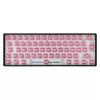 White Shark Roserift mechanische Tastaturschalter, 65 Stück