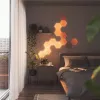 Nanoleaf | Elements Wood Look Hexagons Starter Kit (13 Panels) | Kaltweiß + Warmweiß