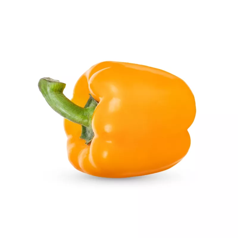 PNOS Paprika Etiuda Gemüsesamen, 0,5 g