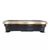 HMS Vibrationsplatte SVP01 gold