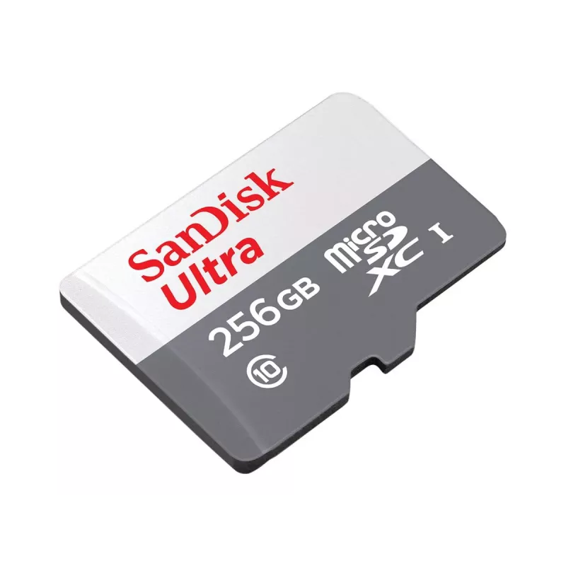 Flash-Speicher SanDisk 256 GB MicroSDXC UHS-I SDSQUNR-256G-GN6TA