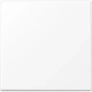 Jung Wippschalter f. Drucktaster LS101WWM (LS101WWM)