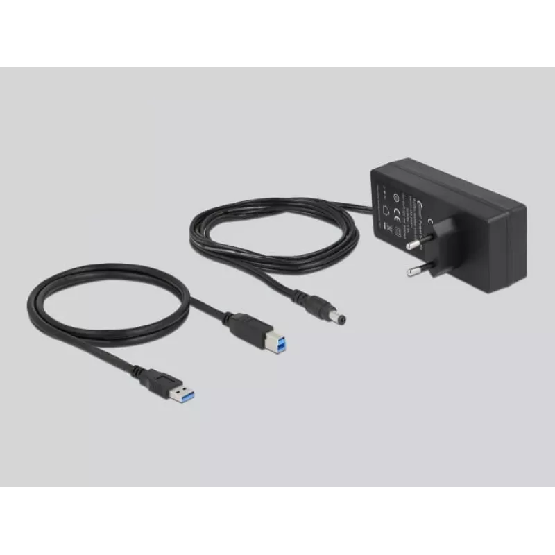 DeLOCK Externer 5 Gbps USB-Hub mit 10 Ports + Schalter